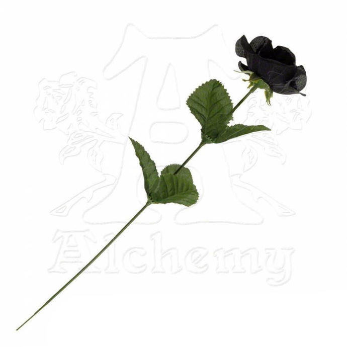 black Rose Black Imitation Rose