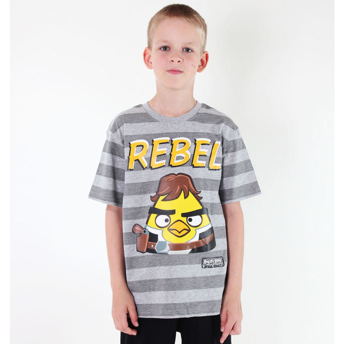Jungen-T-Shirt  TV MANIA - Angry Birds - Grey
