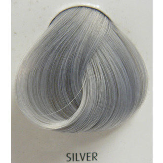   Haarfarbe DIERCTIONS - Silver